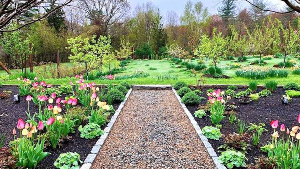 Carlisle, MA - A thoughtfully edged garden bed creates a crisp transition between the lawn and layered plantings, bringing structure and definition to the landscape.