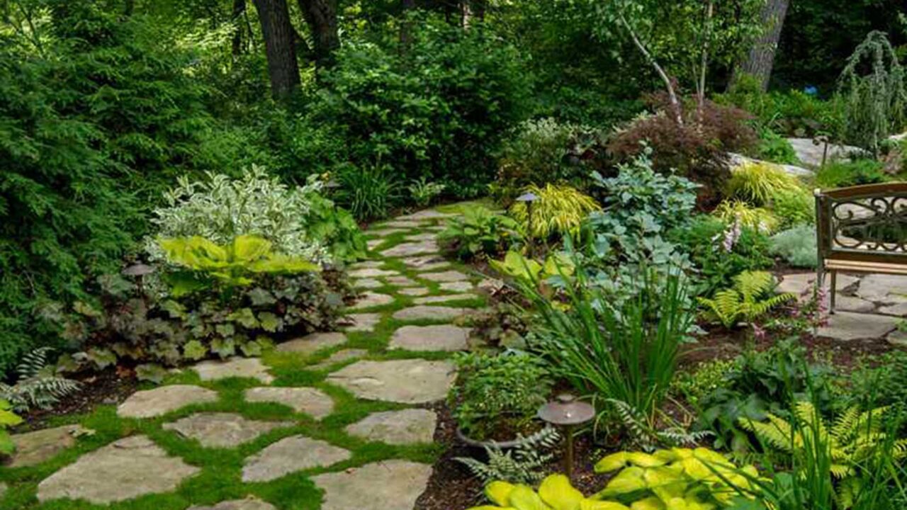 Brookline, MA - A lush woodland garden with a winding stone path, layered foliage, and shade-loving plantings, featured by Martha Stewart for its charming, naturalistic design.