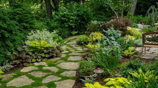 Brookline, MA - A lush woodland garden with a winding stone path, layered foliage, and shade-loving plantings, featured by Martha Stewart for its charming, naturalistic design.