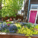Landscape Design for Compact Spaces | Boston Design Guide