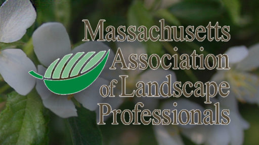 Meet to the Director | Massachusetts Association of Landscape Professionals