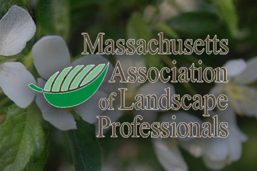 Meet to the Director | Massachusetts Association of Landscape Professionals
