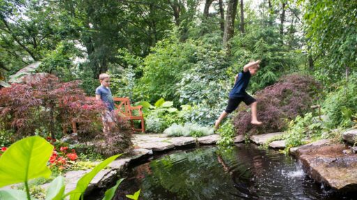 A small Newton backyard transformed into a richly planted family garden filled with texture, habitat, and space to explore.