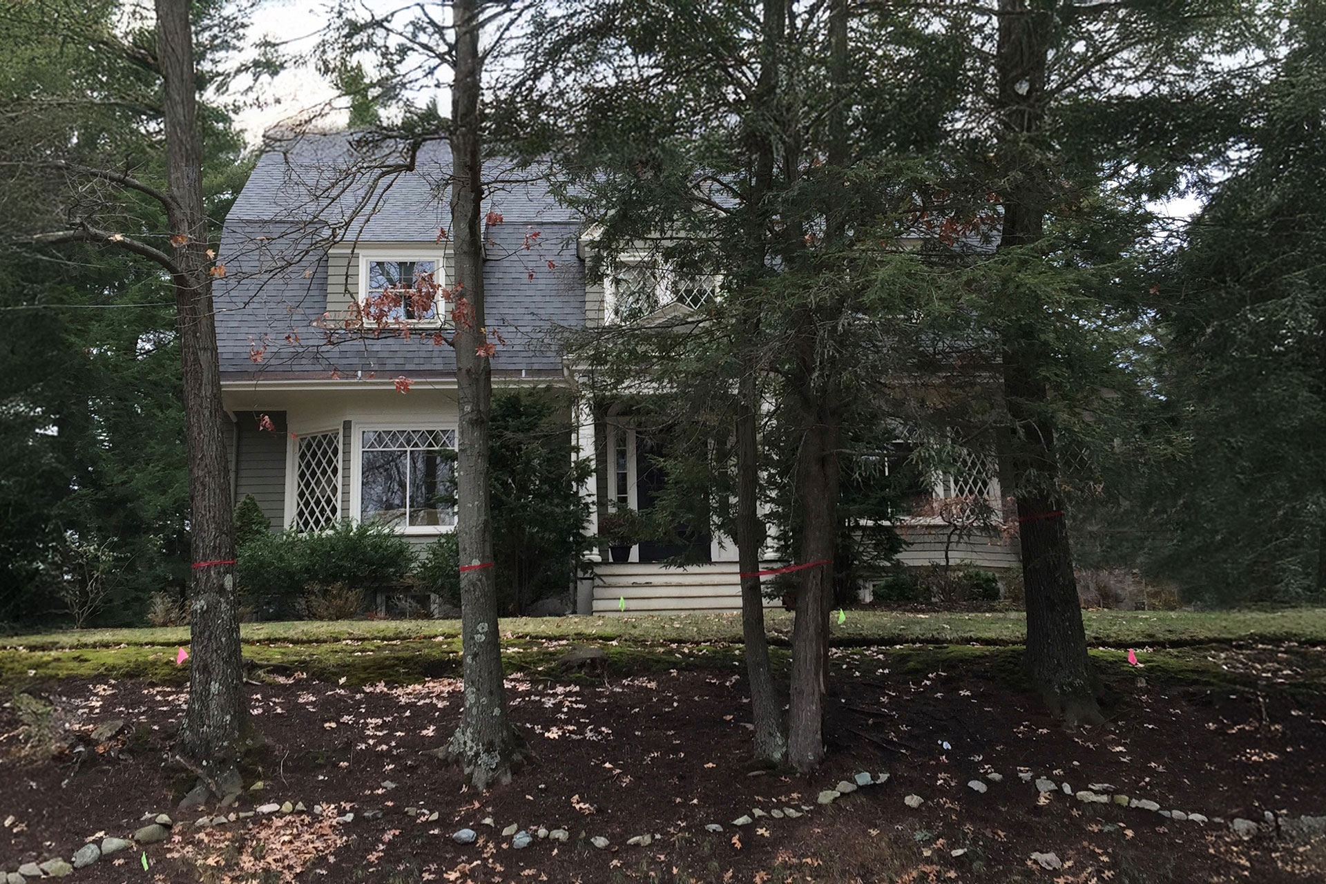 Newton terraces before