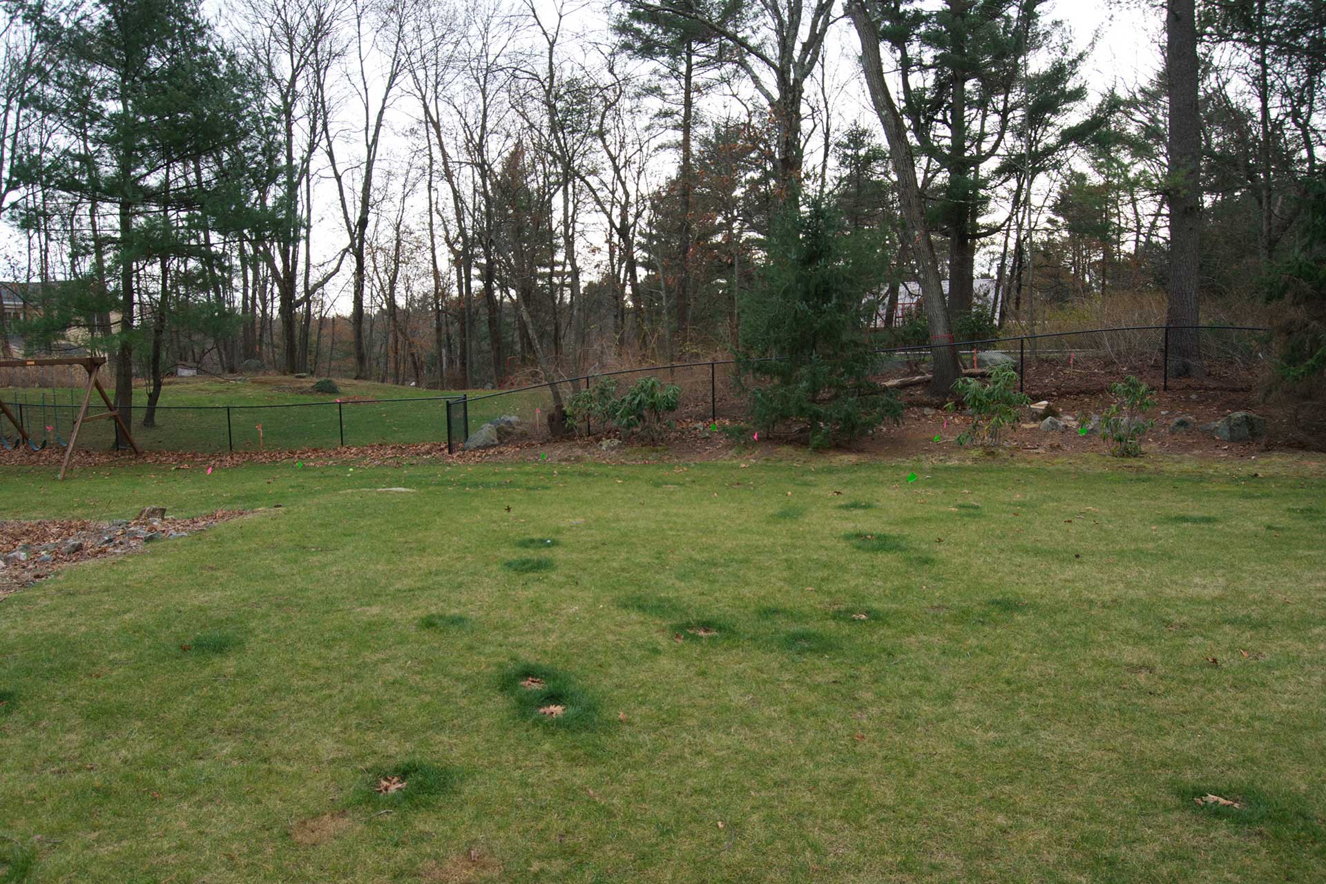 Weston backyard before patio and fireplace installation