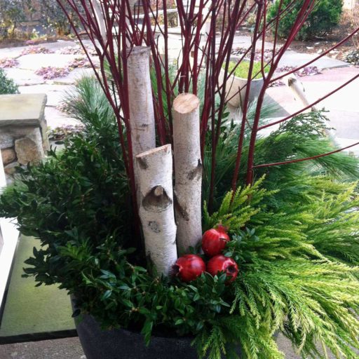 holiday - wellesley, planter, birch, holly