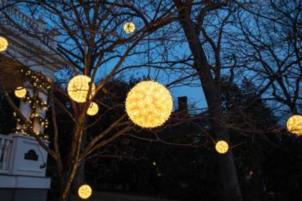 Holiday Lighting and Decor Market Predictions | National Association of Landscape Professionals