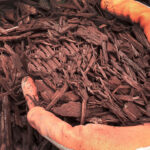 What About Mulch: Leaf vs. Bark