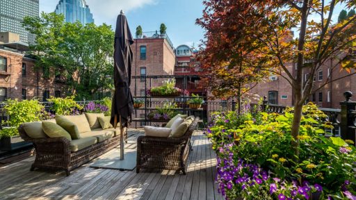 boston south end rooftop garden urban oasis