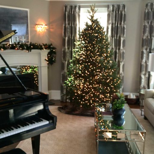 holiday - newton, christmas tree, decorations, lights