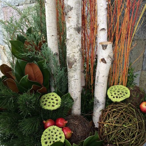 containers - birch and dogwood, vine ball, winter planter