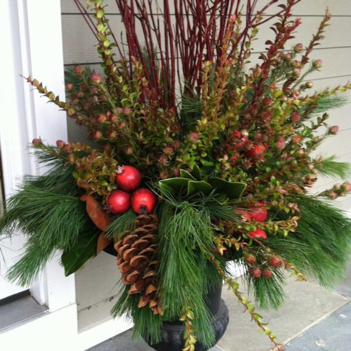 containers - needham, pine winter planter, red twig, dogwood
