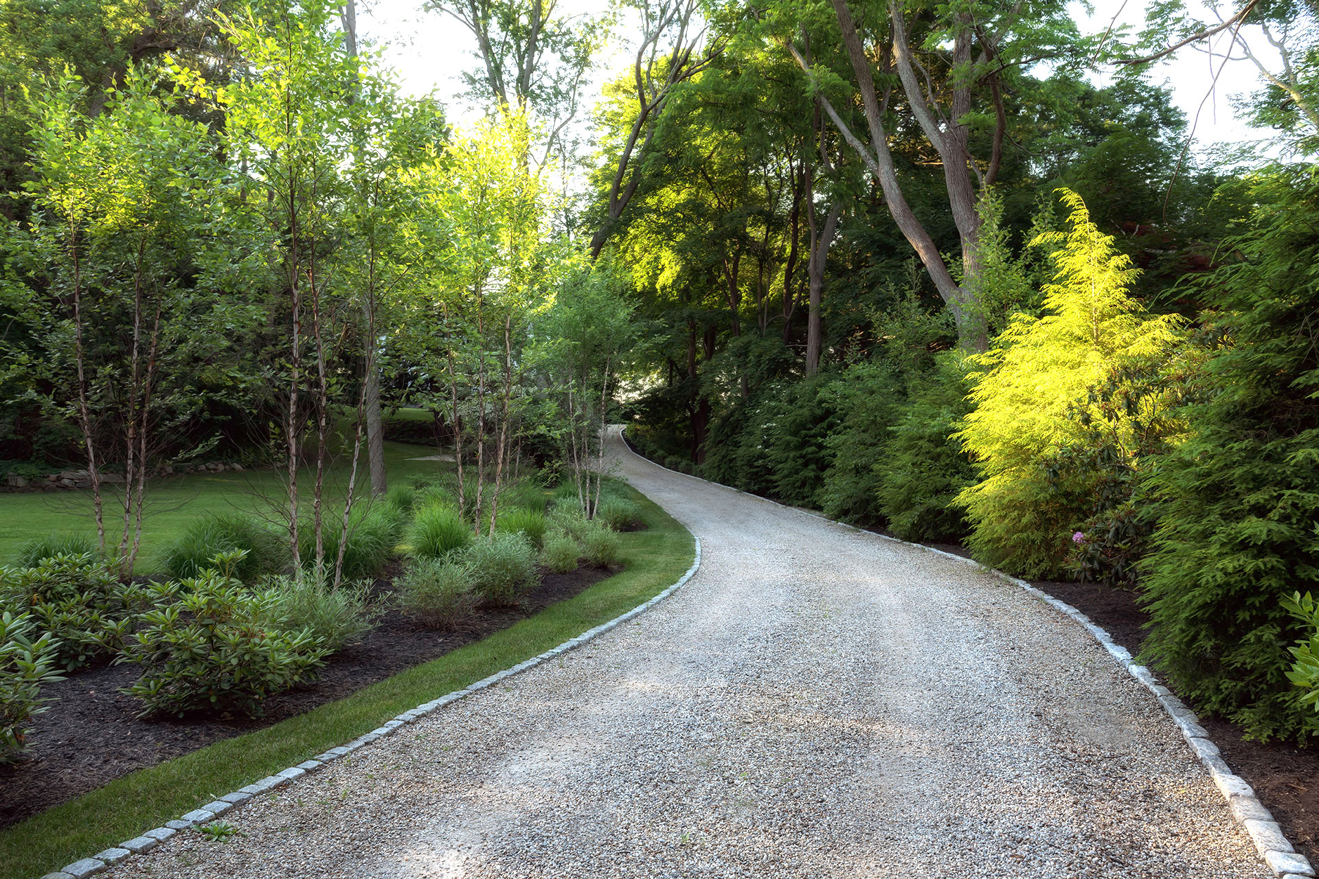 A winding gravel driveway follows the natural contours of a woodland setting, using soft curves and muted textures to minimize impact while providing reliable access.