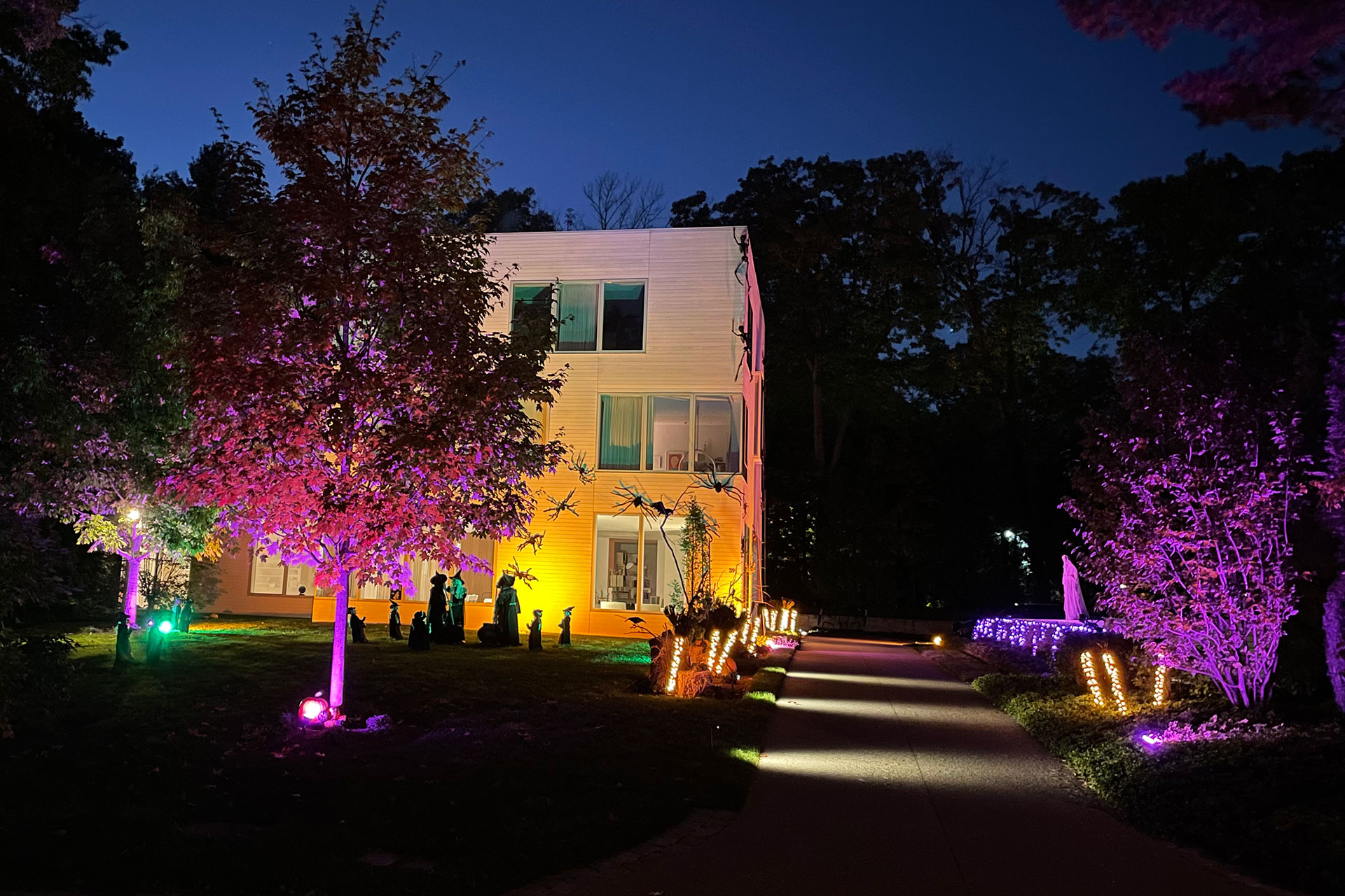 Color-changing LED lighting adds seasonal character while maintaining balanced garden illumination.