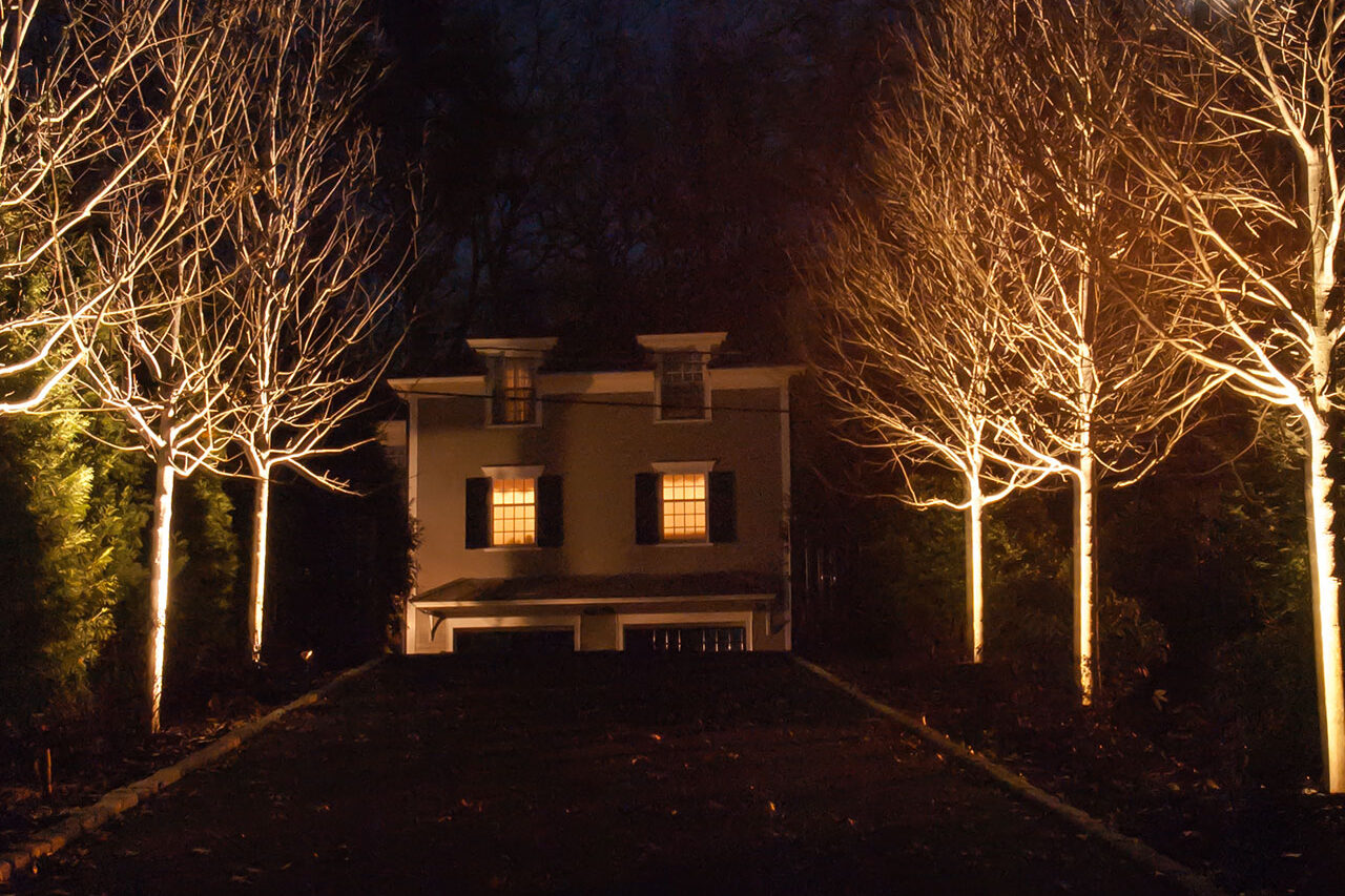 Driveway lighting improves safety and wayfinding while framing trees and planting with subtle illumination.