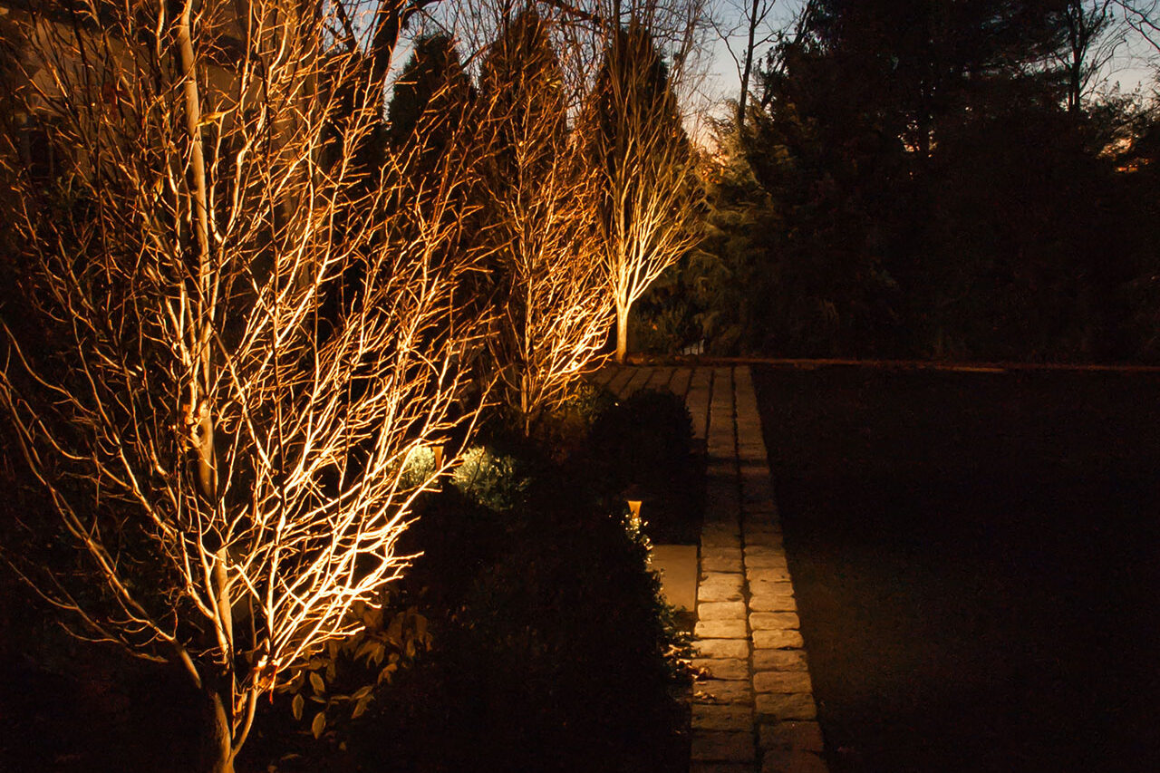 Courtyard lighting defines circulation and creates a soft glow that enhances usability after dark.