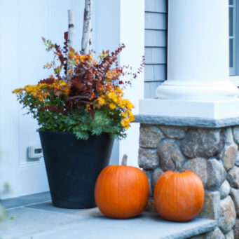 A black entry planter filled with fall mums, berries, and pumpkins accents a stone column, adding color and structure to the entryway.