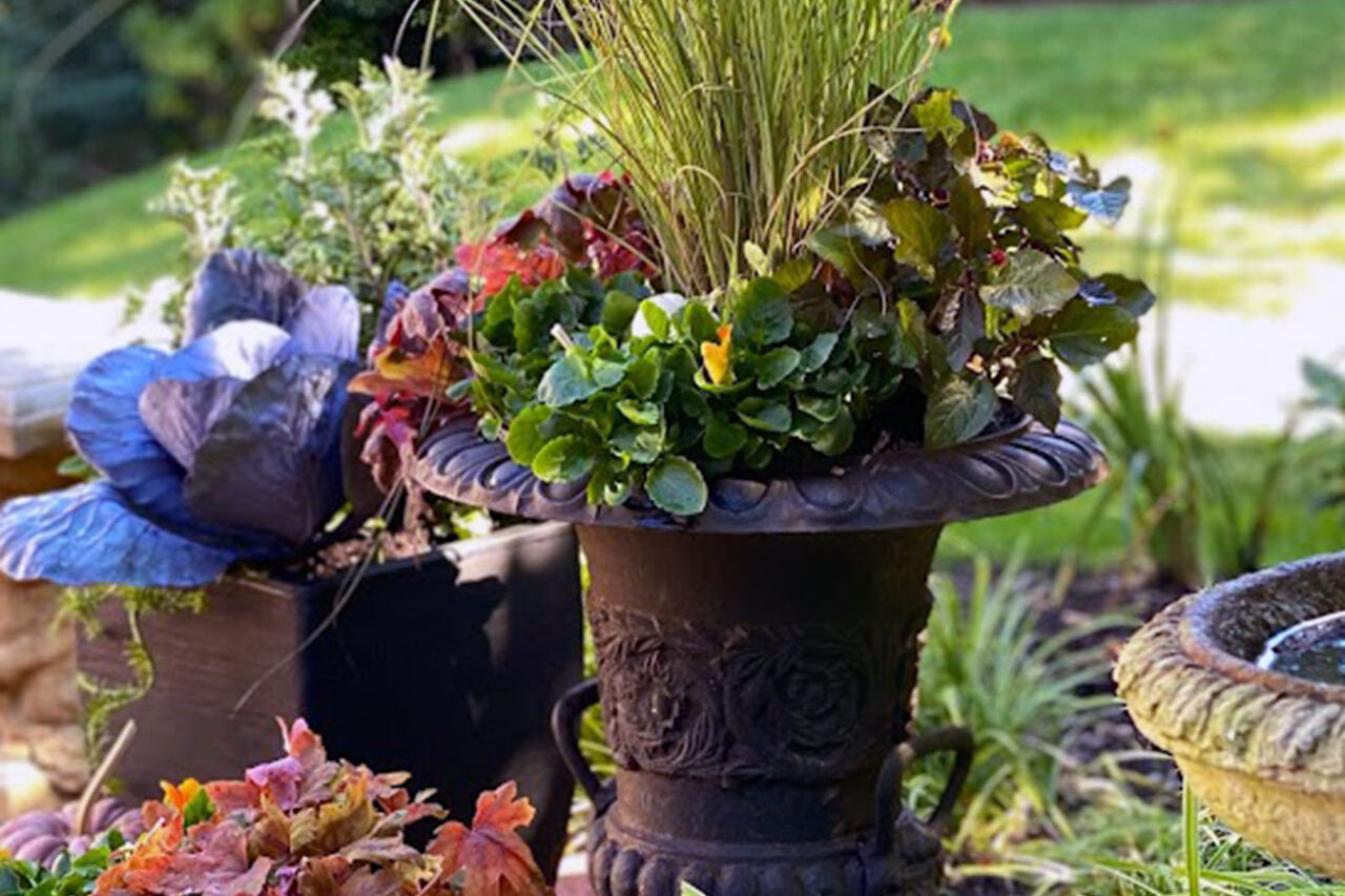 A classic urn filled with ornamental grass and mixed fall annuals adds movement and texture, offering a timeless approach to autumn container design.