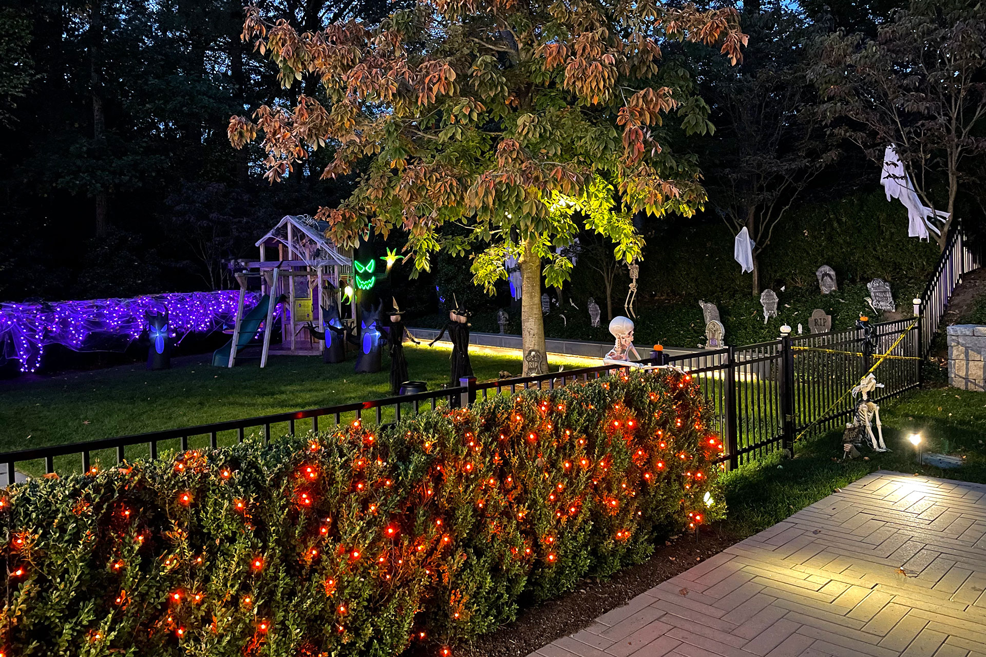 Newton, MA nighttime garden scene with illuminated skeletons creates bold Halloween drama, combining lighting, props, and planting areas for maximum seasonal wow factor.