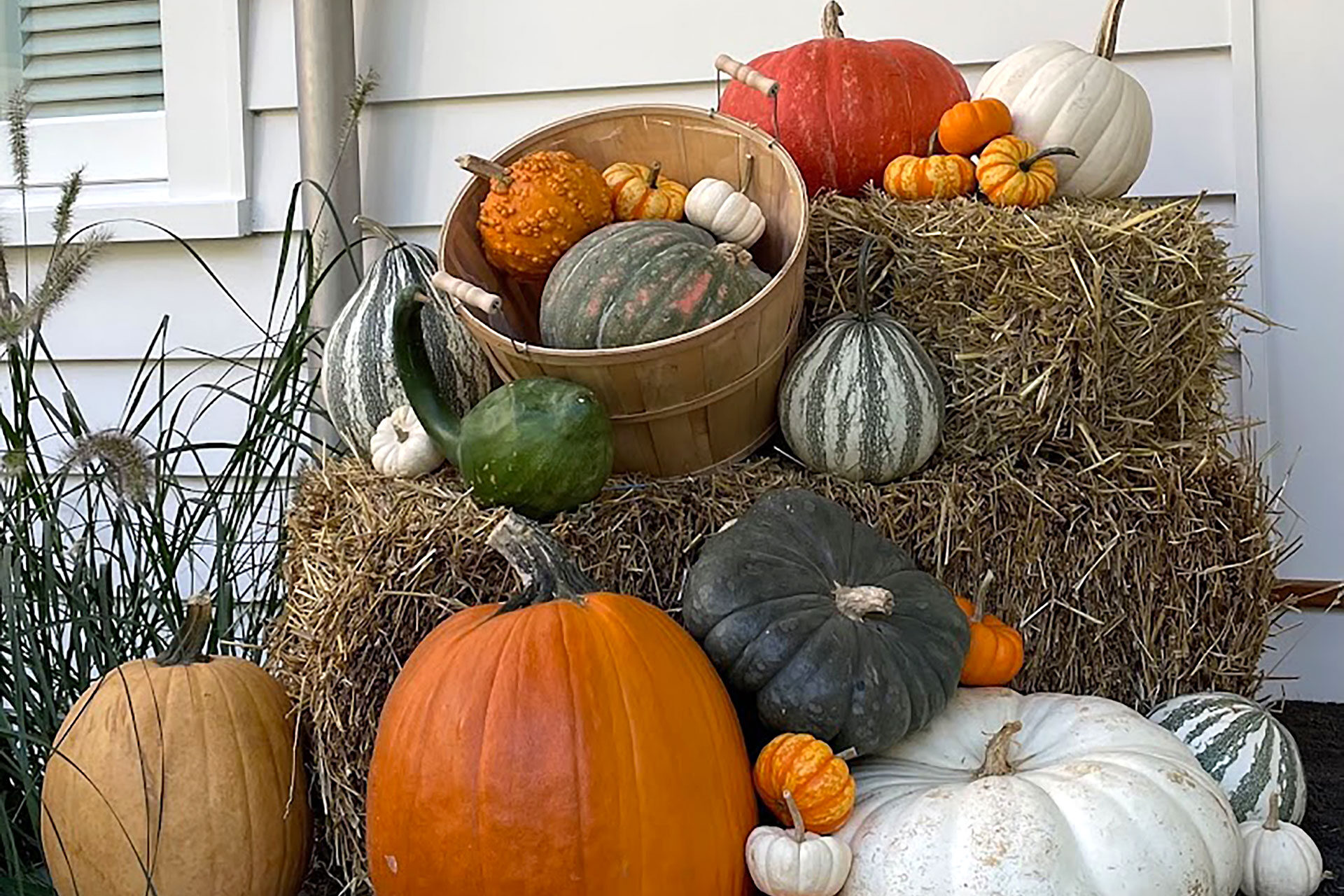 Hay bales stacked with pumpkins and gourds form a layered entry arrangement, delivering rustic fall charm and an easy way to add visual impact at any scale.
