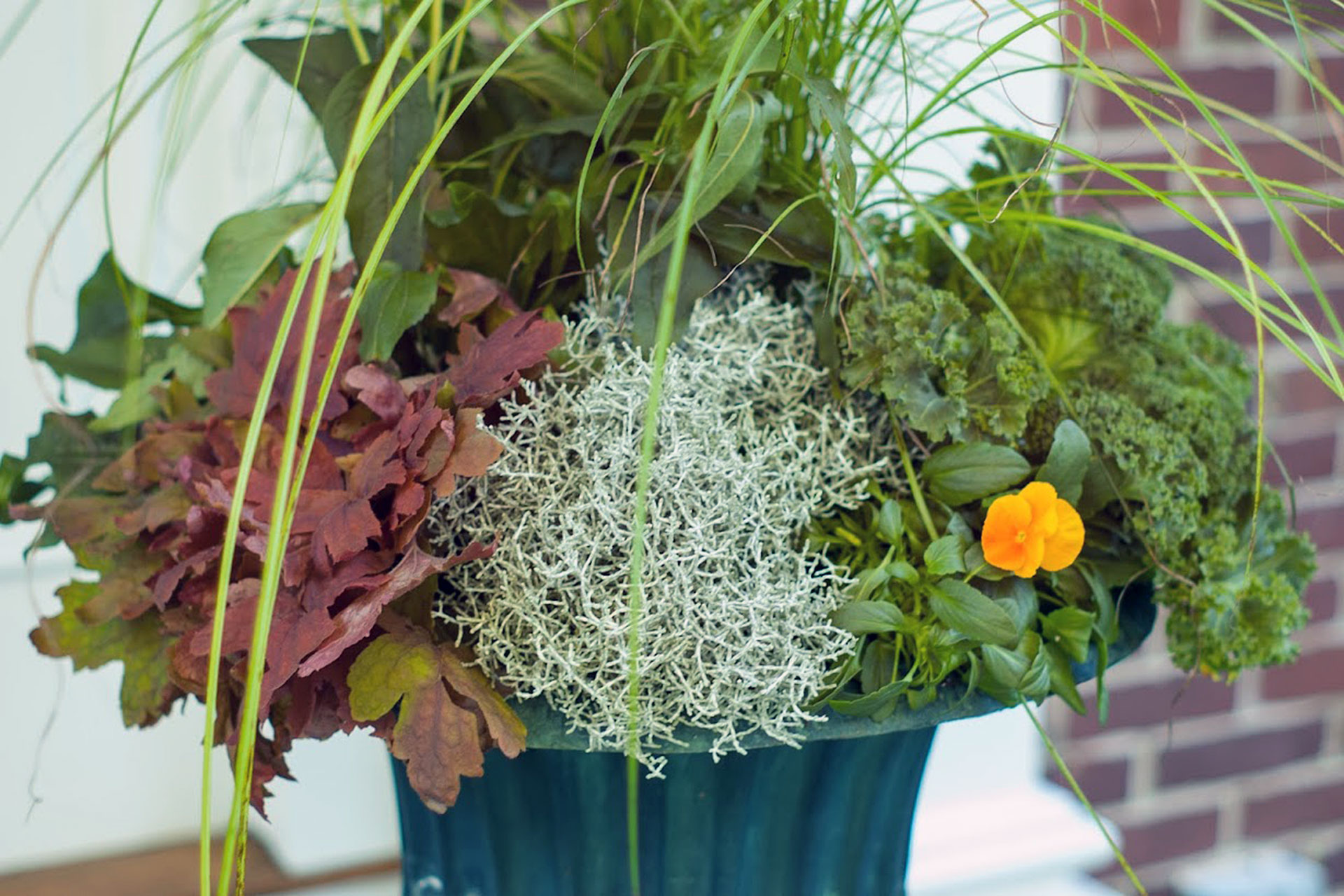 A textural fall container combines lichen, heuchera, and ornamental grass, highlighting subtle color shifts and refined seasonal design.