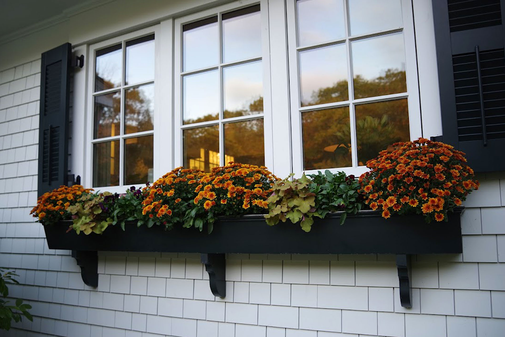 Symmetrical window boxes filled with fall mums provide balanced color and seasonal polish, enhancing curb appeal with a classic autumn approach.