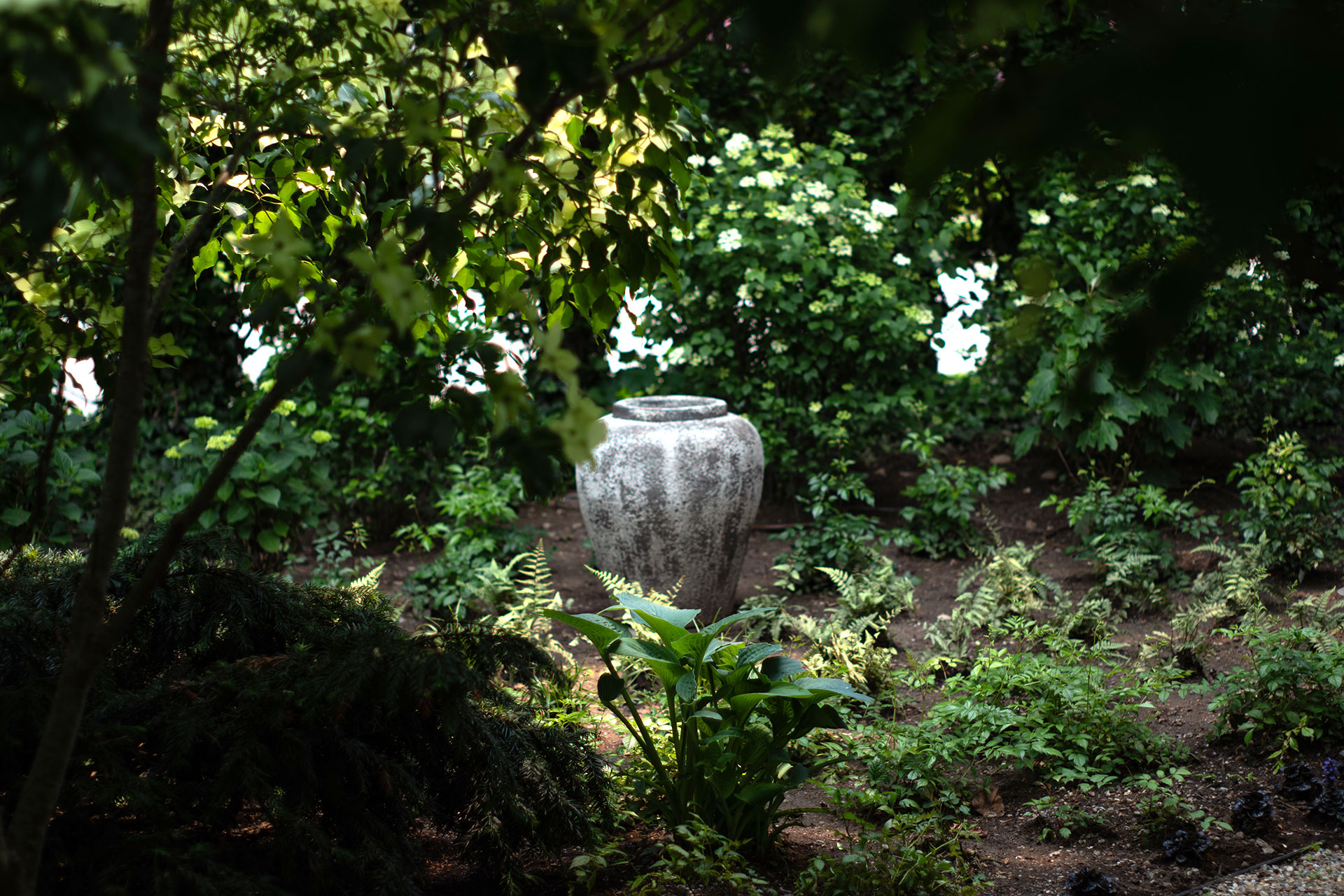 This classic stone urn acts as a focal point in the shade garden, its simple form and neutral tone balancing surrounding foliage and filtered light.