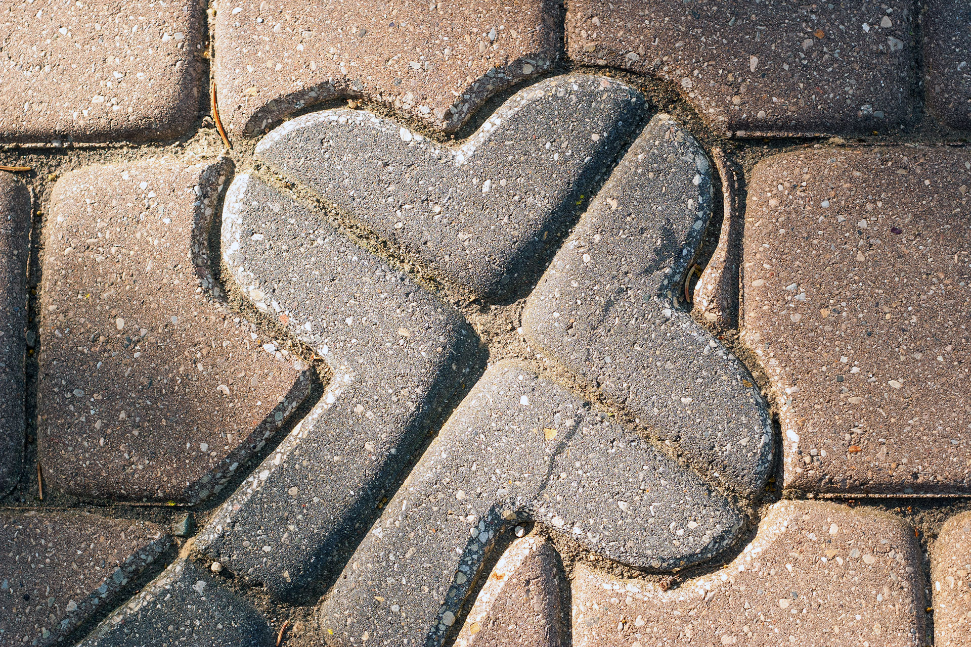 A custom stone paver inlay enriches the walkway design with subtle pattern and craftsmanship, elevating everyday circulation through thoughtful ornamental detail.