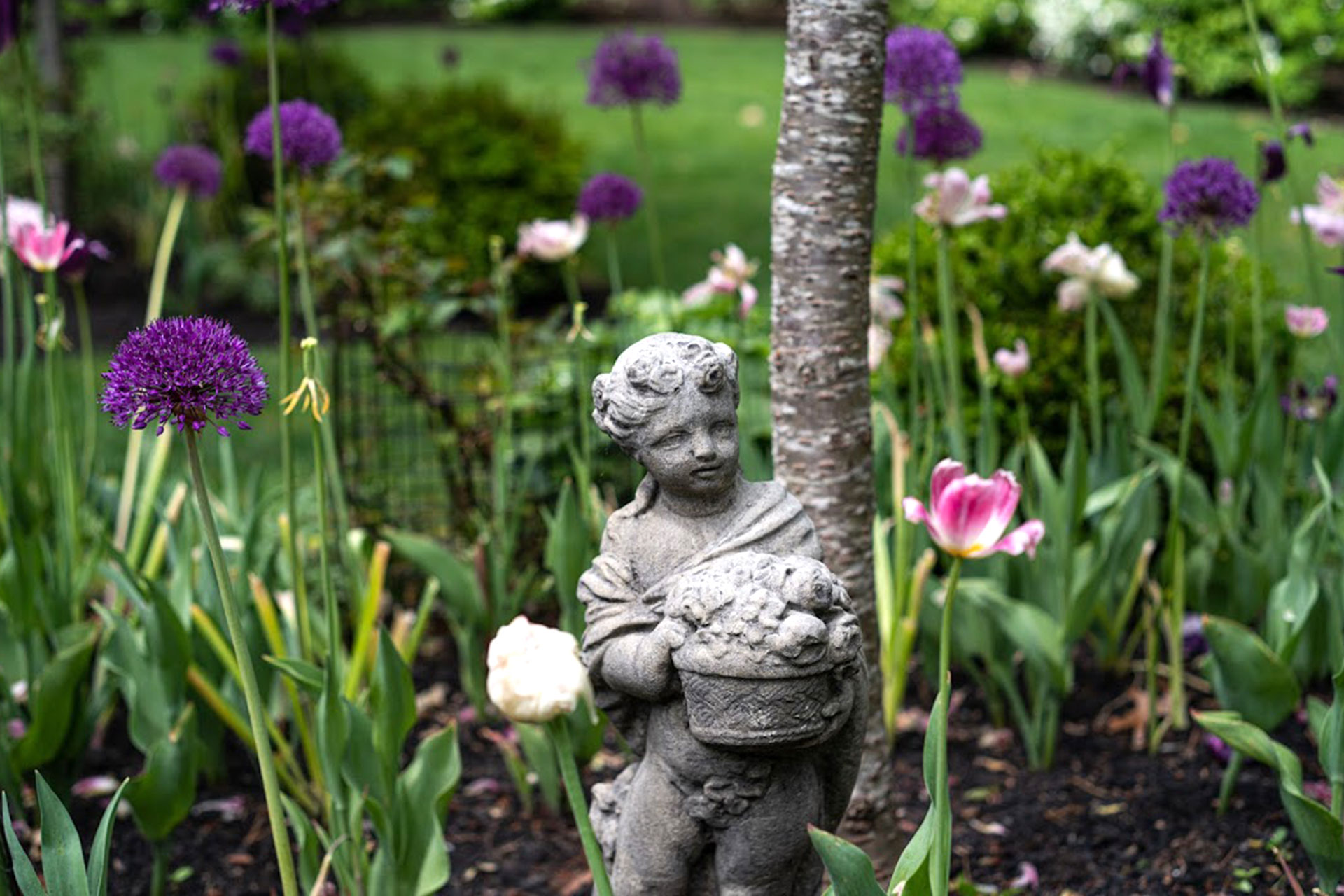 This stone child statue in Wellesley, MA brings warmth and nostalgia to a spring flower bed, creating a human scale moment surrounded by seasonal color and soft textures.