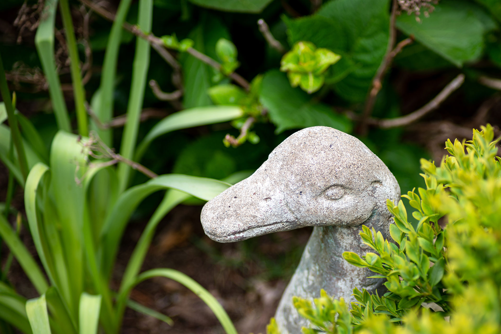 A carved stone waterfowl sculpture emerges naturally from surrounding plantings, its soft form and neutral tones reinforcing a calm, organic feel within the garden setting.