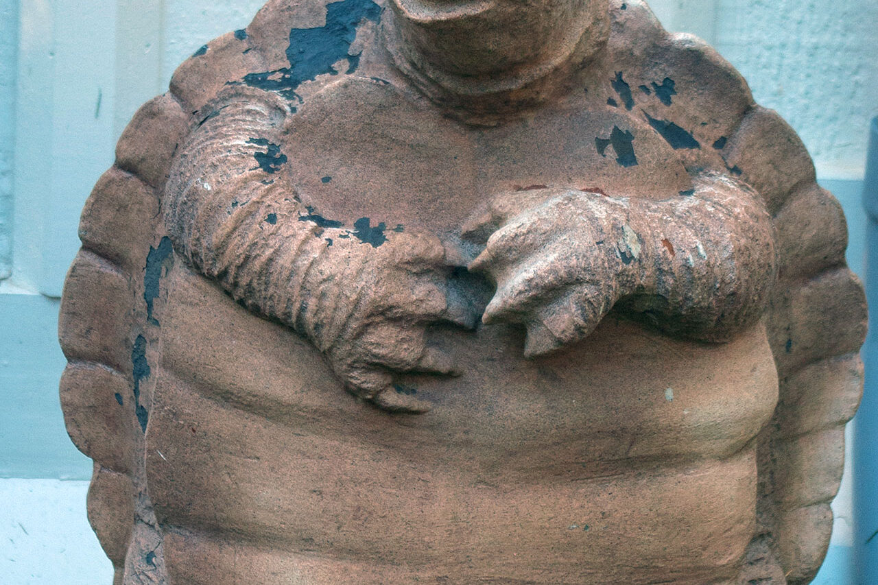 A vintage stone turtle sculpture with aged patina rests quietly among garden plantings, introducing a grounded, timeless accent that blends seamlessly with foliage and natural stone.