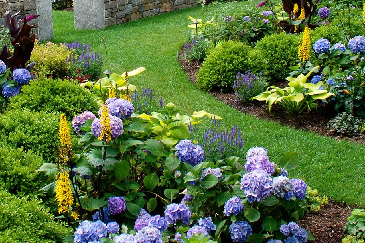 gardens - hydrangea, boxwood, granite wall