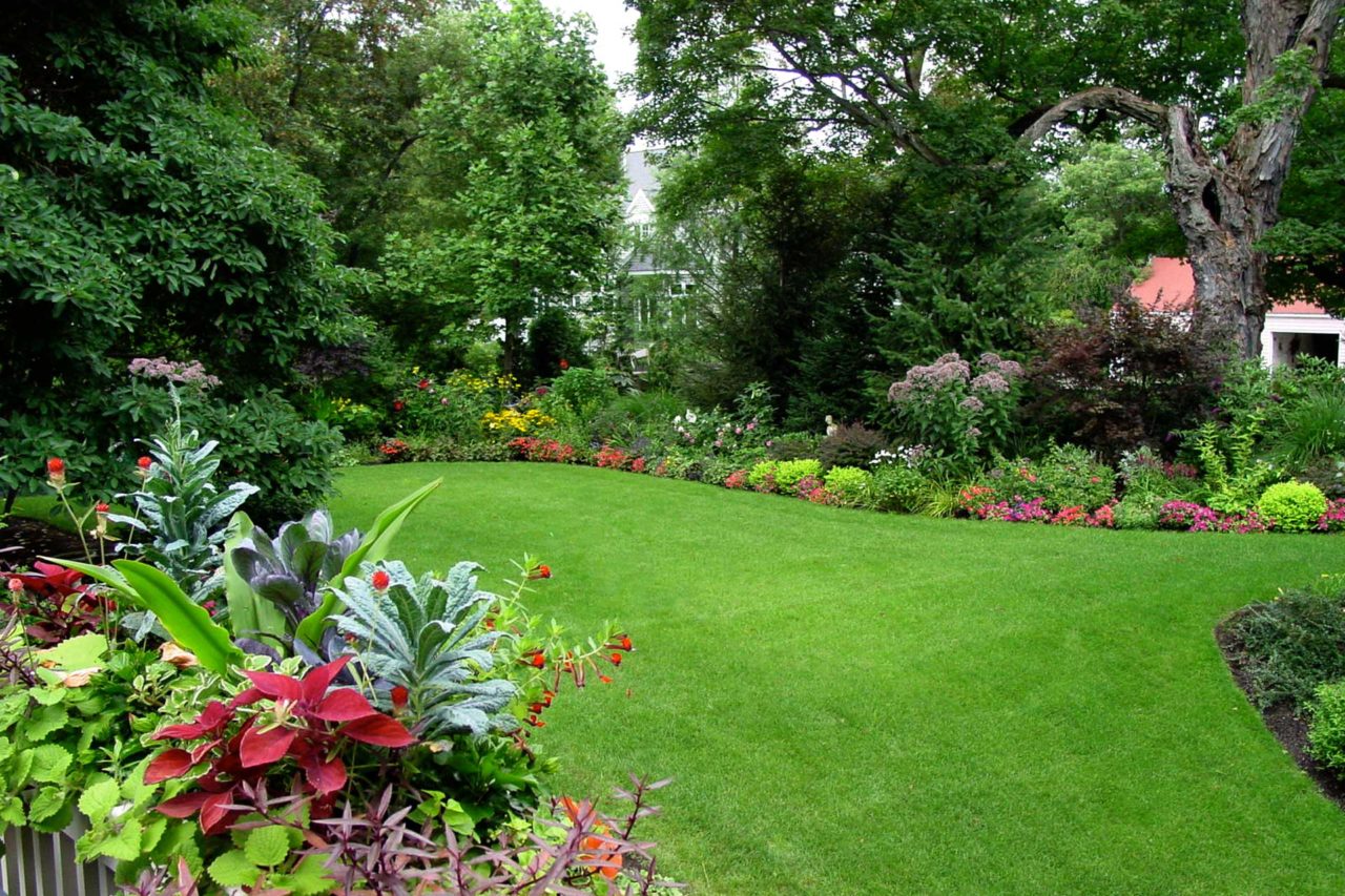 gardens - lawn, annuals, chestnut hill