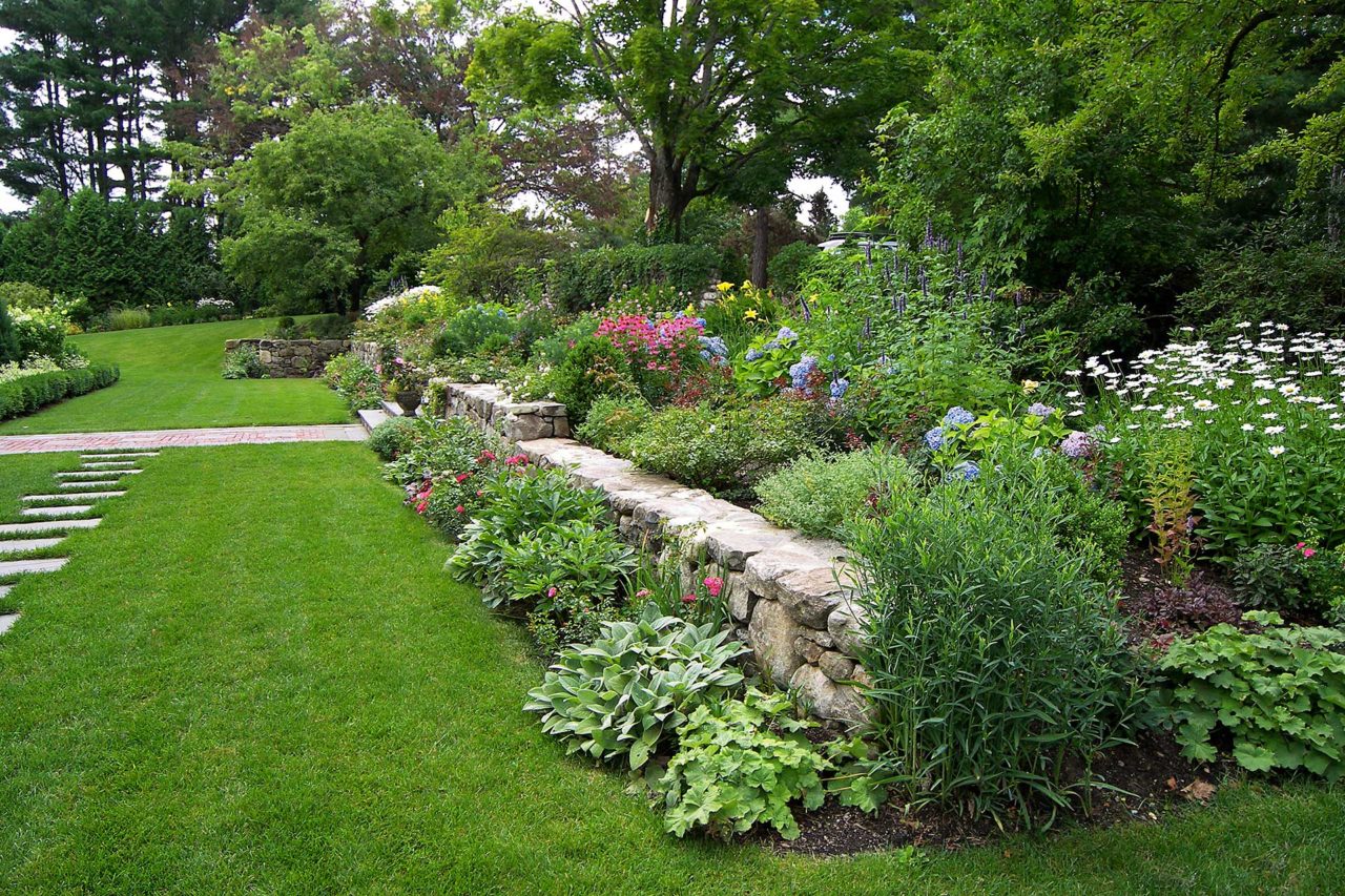 gardens - stone wall, daisies, concord
