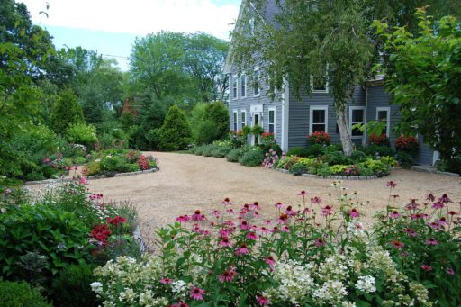 gardens - wayland, driveway, garden, peastone, cone flower,