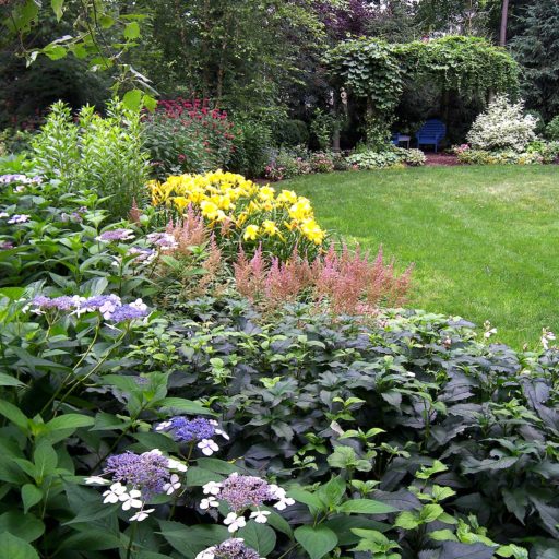 gardens - wellesley, pergola, day lily, lace cap hydrangea