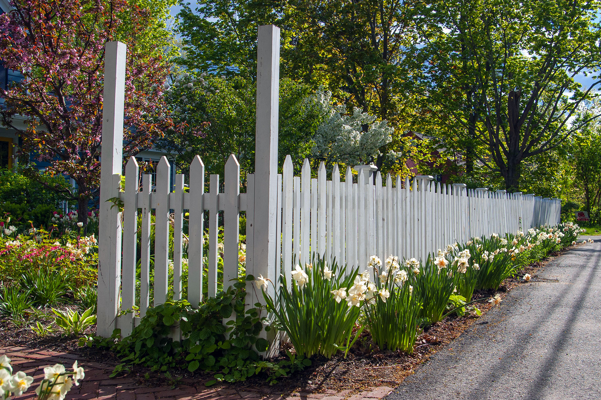 A classic wood picket fence reinforces Cape Cod charm while organizing cottage gardens and walkways.