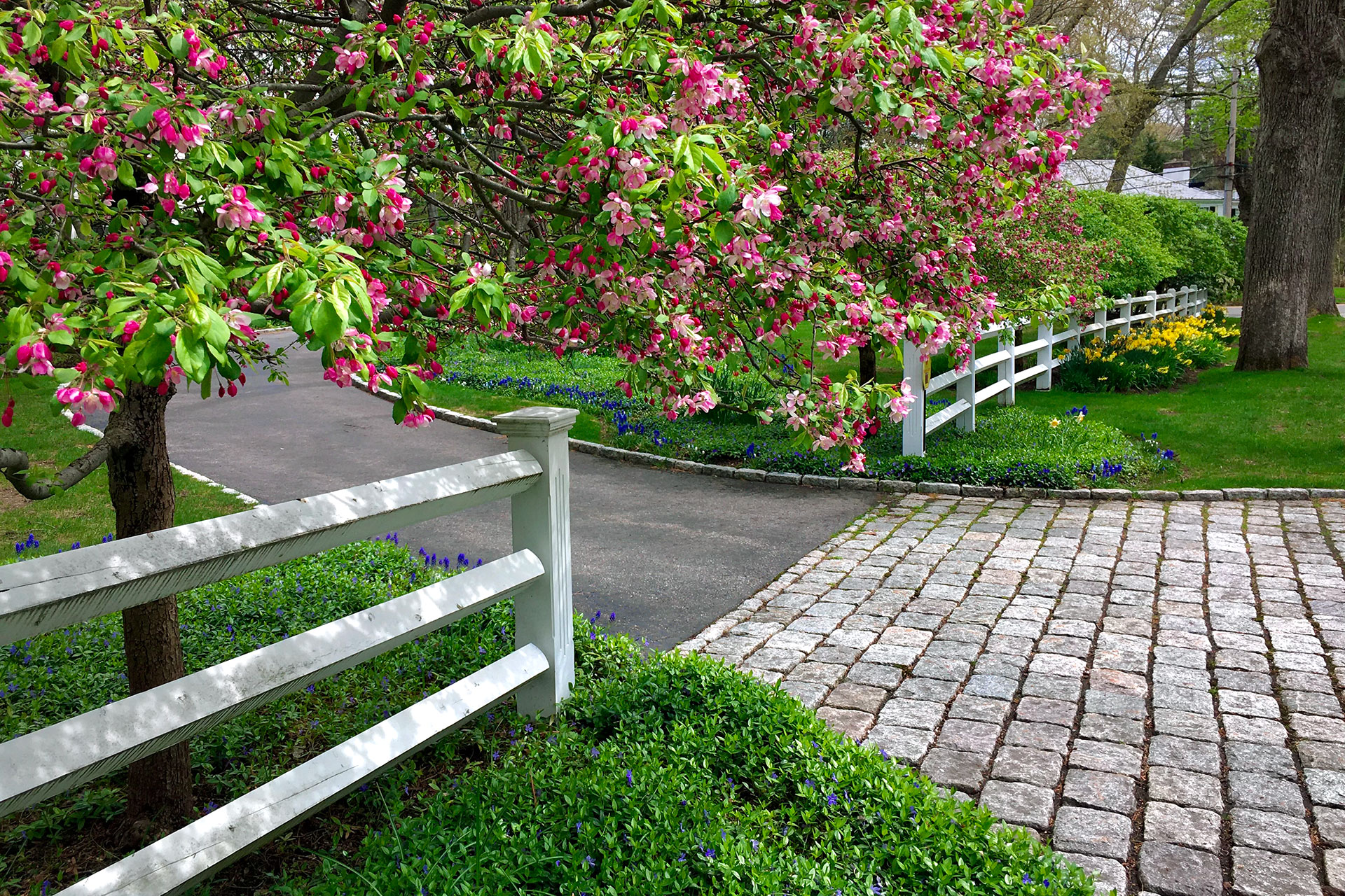 Classic white rail fencing frames this Wayland property, guiding the eye through spring blooms while subtly defining space.