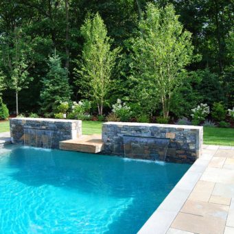 hardscapes - stone pool, water feature, birch