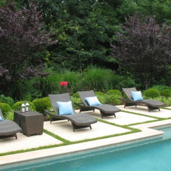 hardscapes - needham, poolside furniture, patio, plum tree