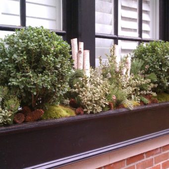 holiday - boston, window box, pine cones