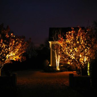 lighting - wayland, tree outdoor lighting in Wayland, MA