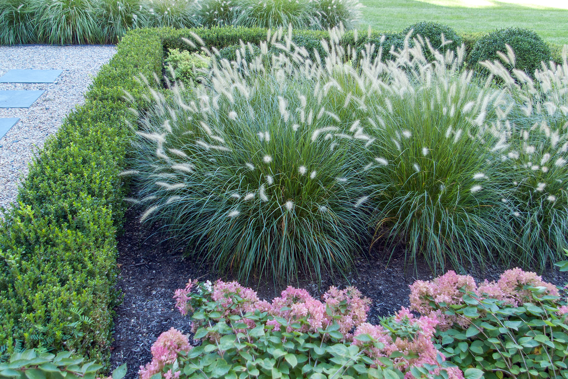 Grasses woven into a formal parterre in Wellesley soften boxwood edges, adding contrast and seasonal interest without disrupting symmetry.