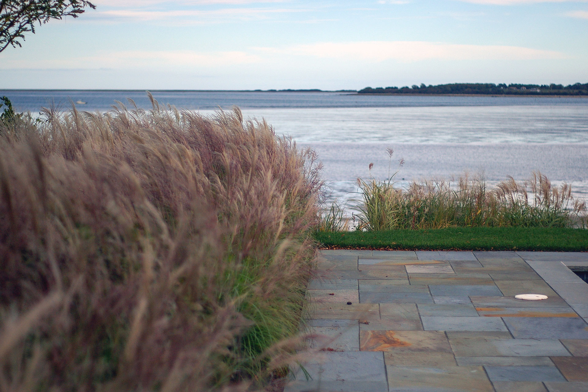 Layered ornamental grasses are planted along the foundation to buffer ocean exposure, adding soft texture, movement, and seasonal color while protecting the home without blocking views.
