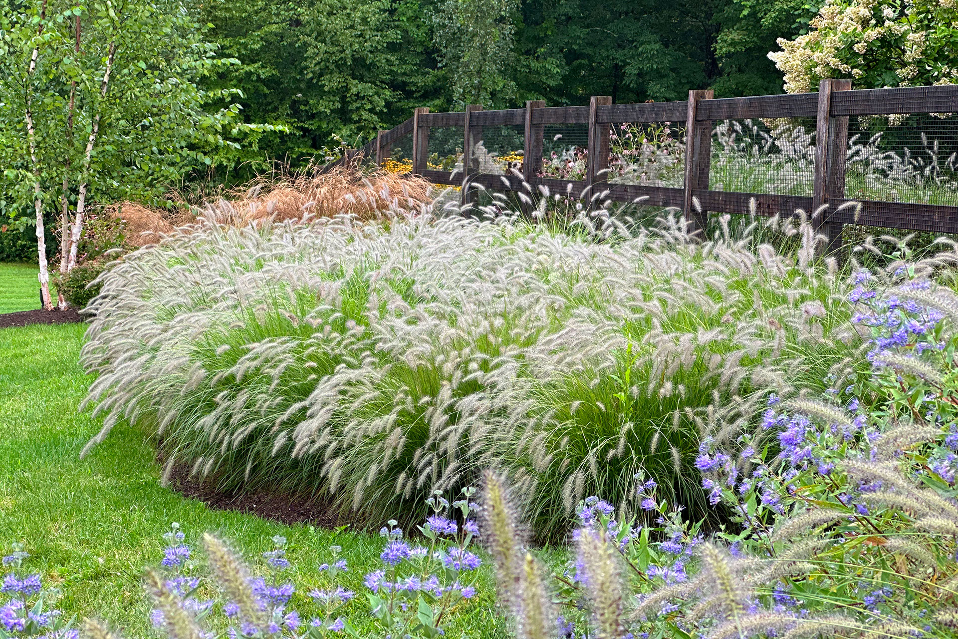 Ornamental grasses planted along the fence line create a soft border, adding texture, movement, and seasonal interest while defining the edge of the entry planting.