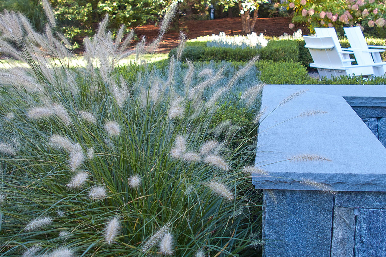 Ornamental grasses planted near a stone wall entry in Lincoln soften hard edges and introduce movement without overwhelming the structure.