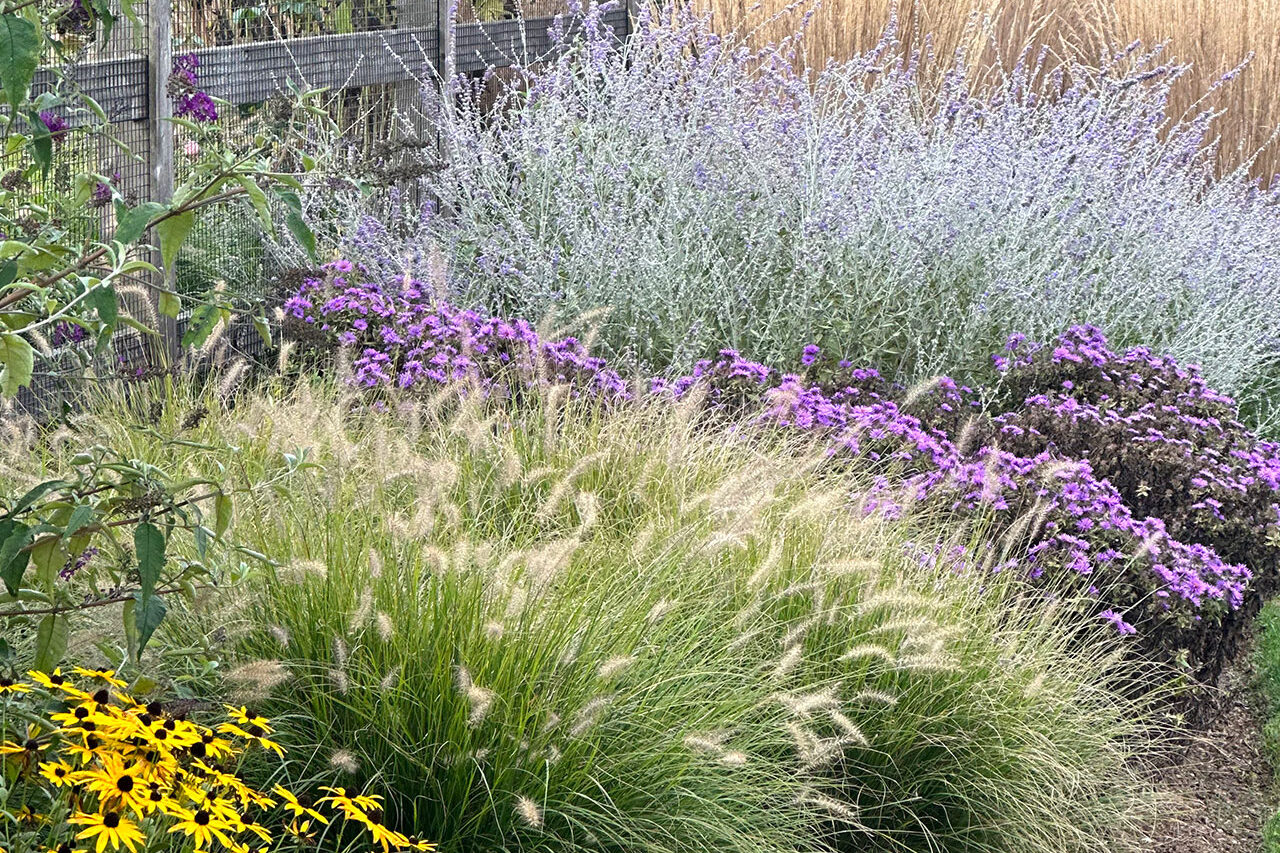 Mixed ornamental grasses and perennials layer texture and color in this Lexington garden, keeping planting beds visually rich beyond peak bloom season.