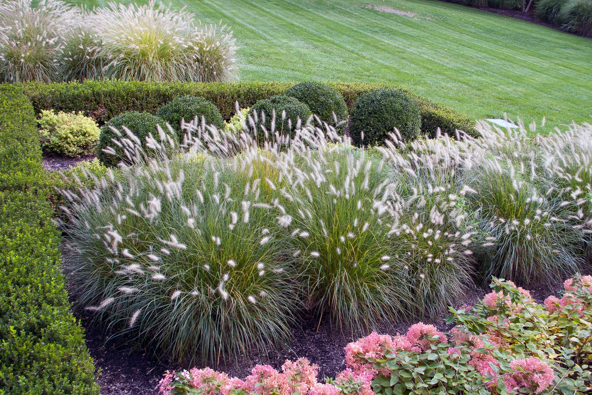 Mass-planted grasses bring order and durability to this Newton landscape, offering strong form, seasonal color shifts, and reduced long-term upkeep.