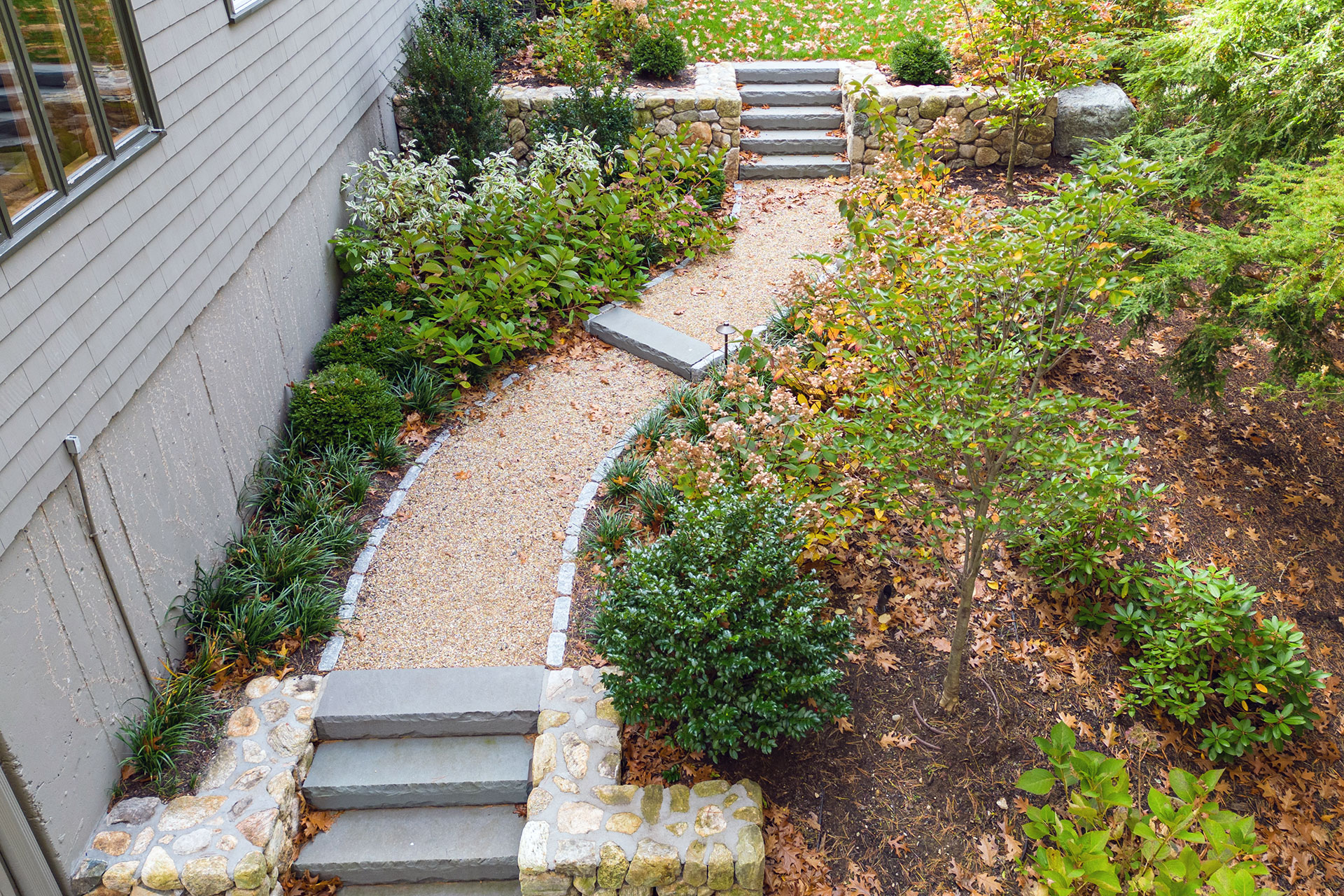 Curved gravel path and bluestone steps guide movement through a layered landscape in Newton.