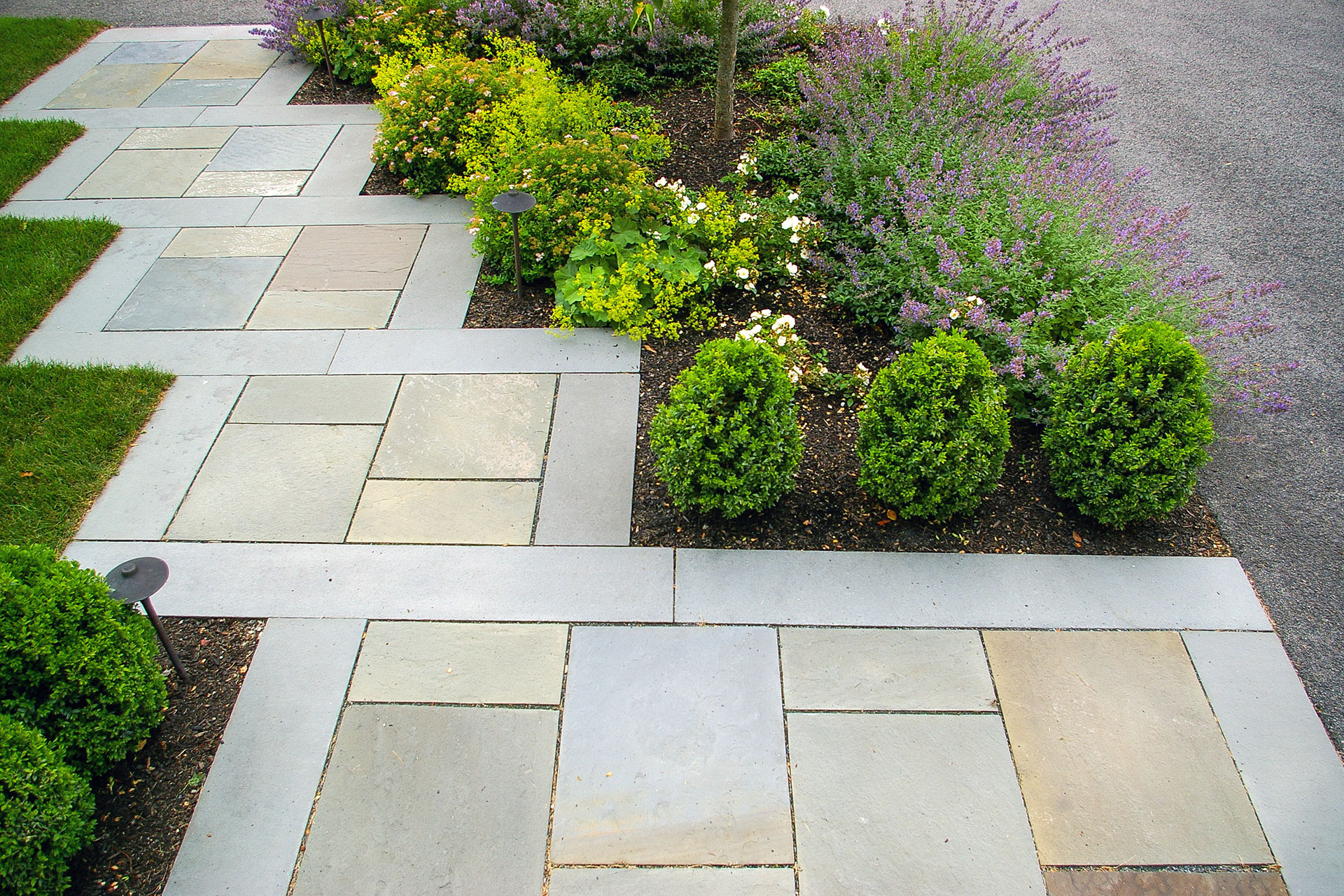 Geometric bluestone walkway with contrasting inlay adds modern structure and visual rhythm between planting beds.